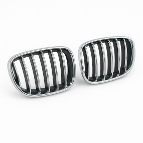 Grilles De Calandre